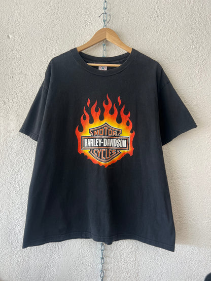 HD Flame Logo