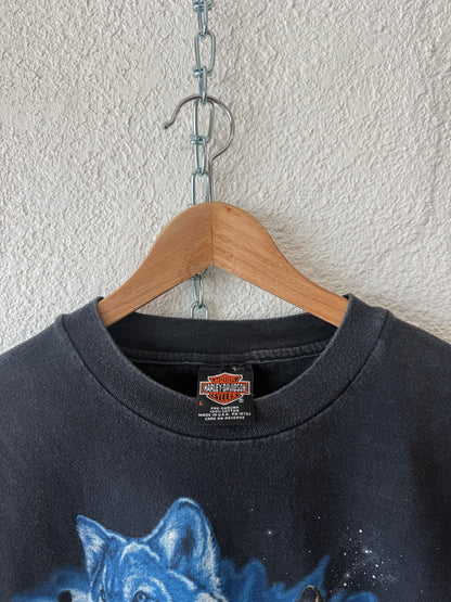 HD Florida