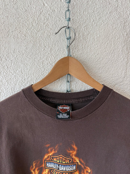 HD Brown Flame