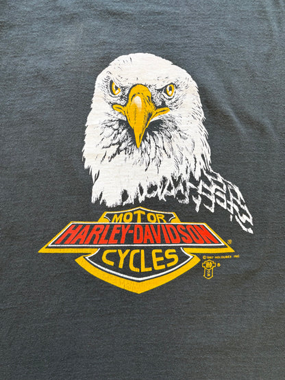 HD American Cycle