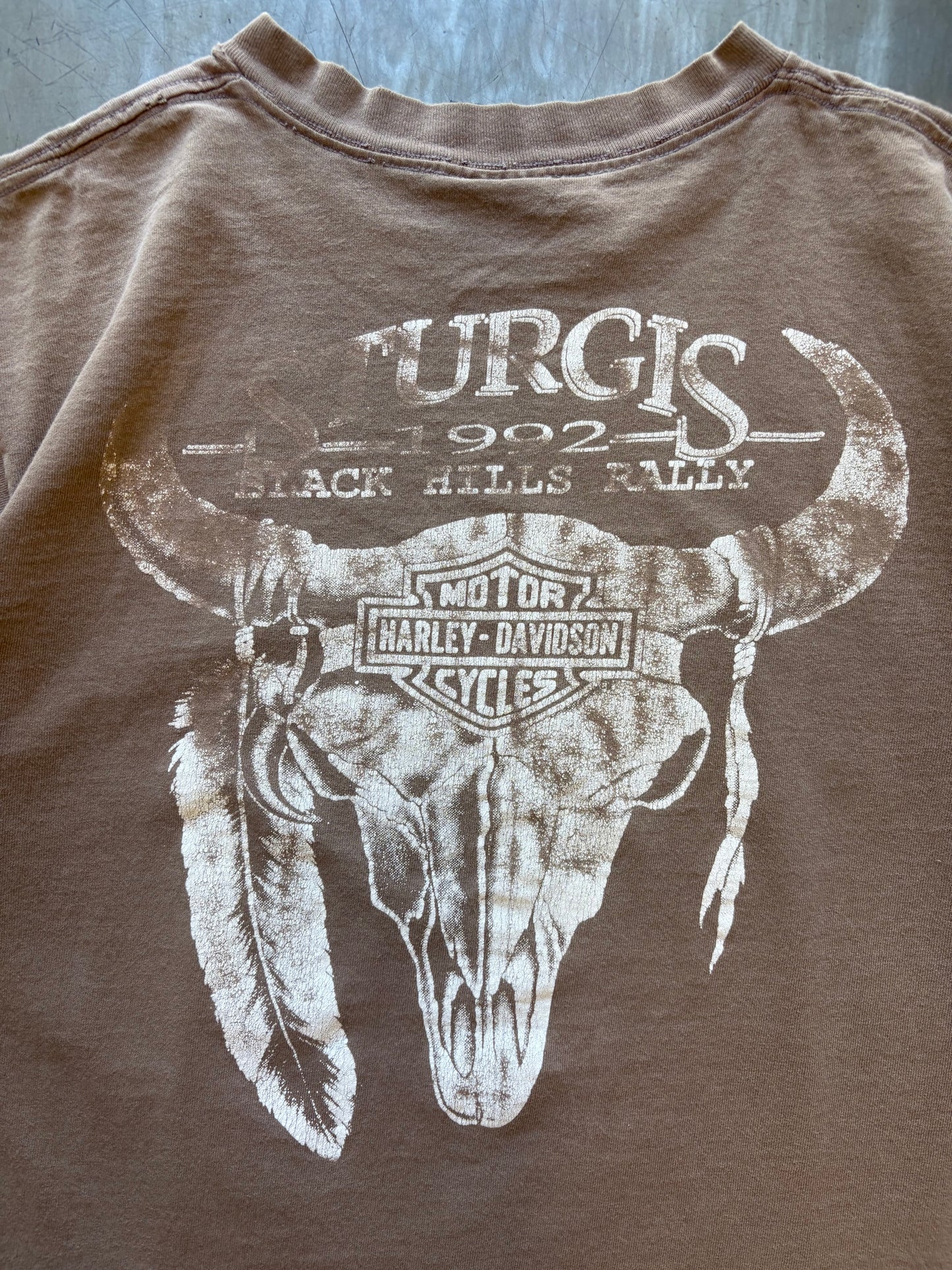 HD Sturgis