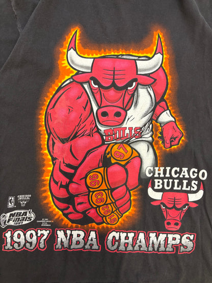 Bulls 1997 Champs